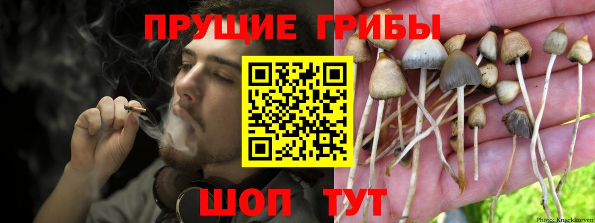 Нефтеюганск  Галлюциногенные грибы прущие грибы  Галлюциногенные грибы MAGIC MUSHROOMS  Вход с VPN 
